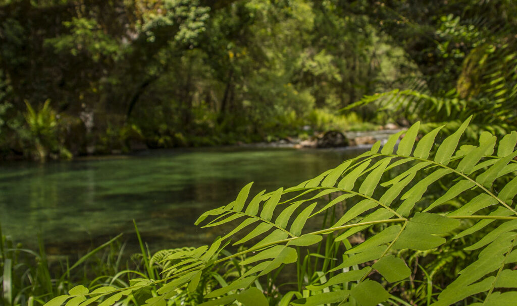 trail running terra e auga condado paradanta 01 trail running terra e auga condado paradanta 01