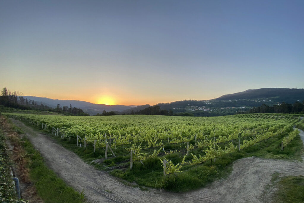trail running terra e auga condado paradanta 05 trail running terra e auga condado paradanta 05
